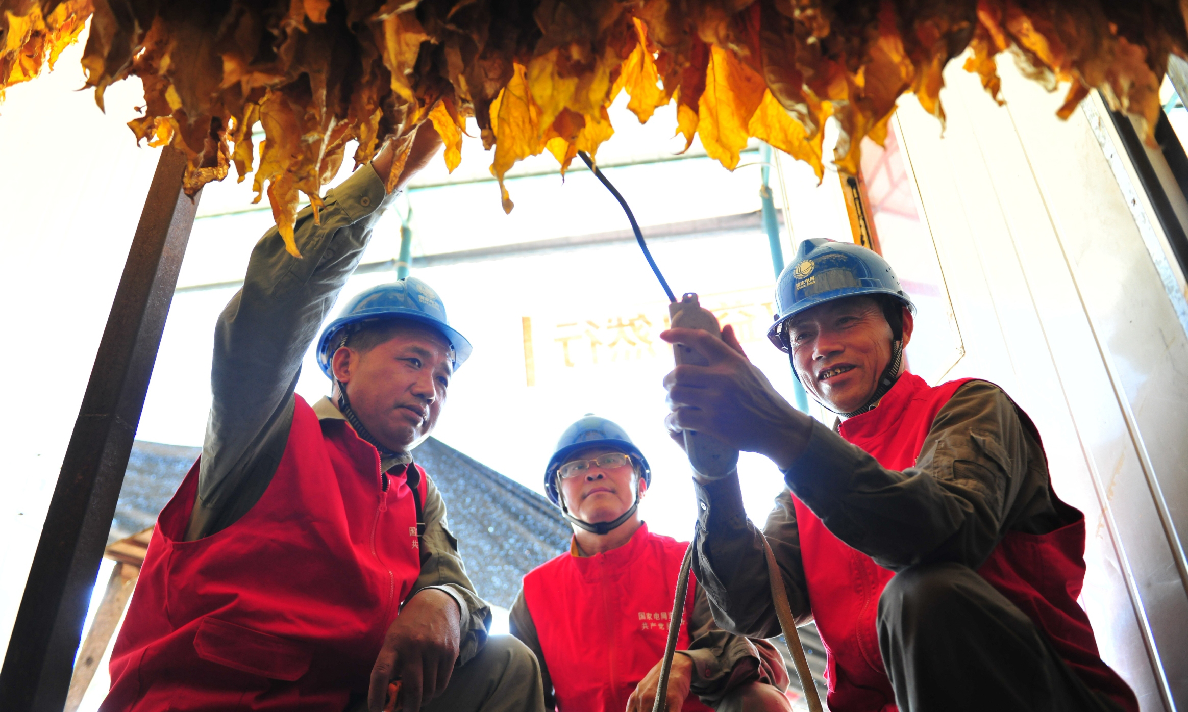 湖北十堰供電公司開展烤煙烘房“煤改電”示范點建設。