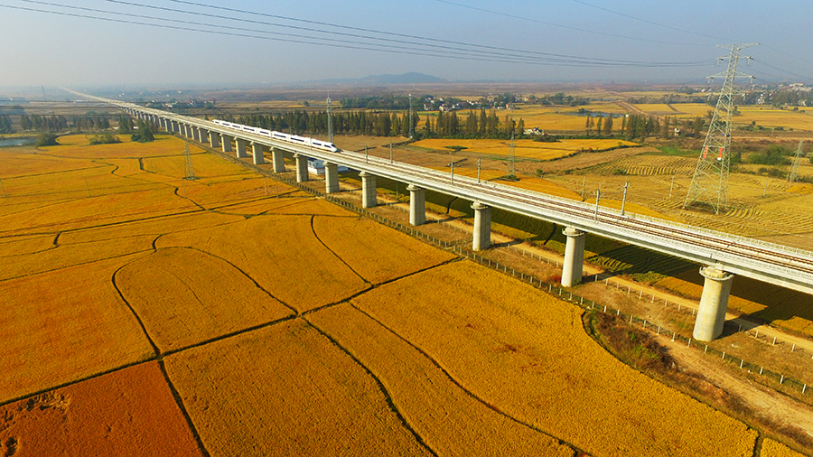 作為京港高速鐵路的重要組成部分，合安高鐵北端通過合肥樞紐連接商合杭高鐵、合寧高鐵、合福高鐵、合蚌高鐵、合武高鐵，南端在安慶與寧安高鐵、建設中的京港高鐵安慶至九江段連通。圖為中鐵十七局承建的合安高鐵廬江特大橋。