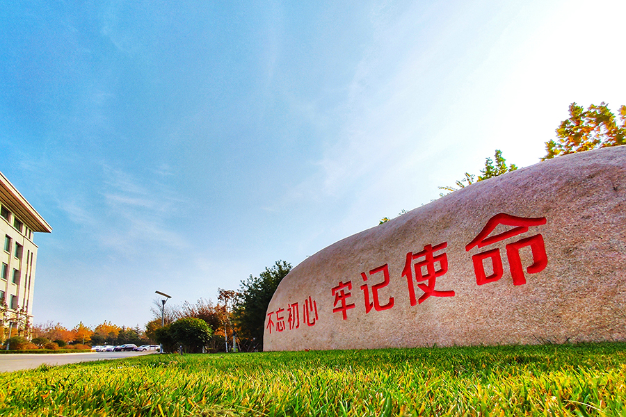 圖為平度市便民服務中心周邊綠化。（師華鵬 攝）