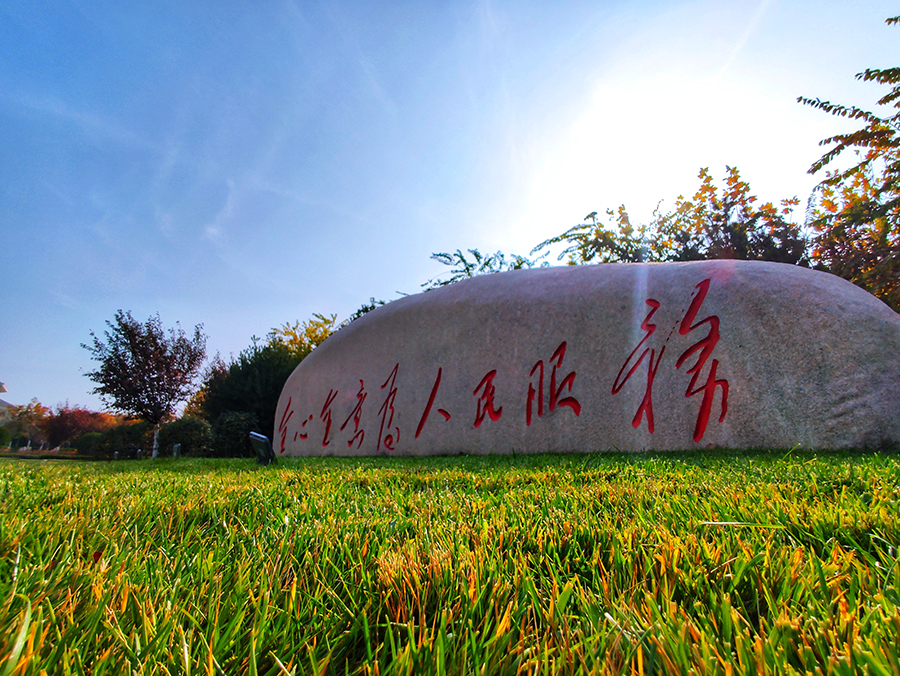 圖為平度市便民服務中心周邊綠化。（師華鵬 攝）