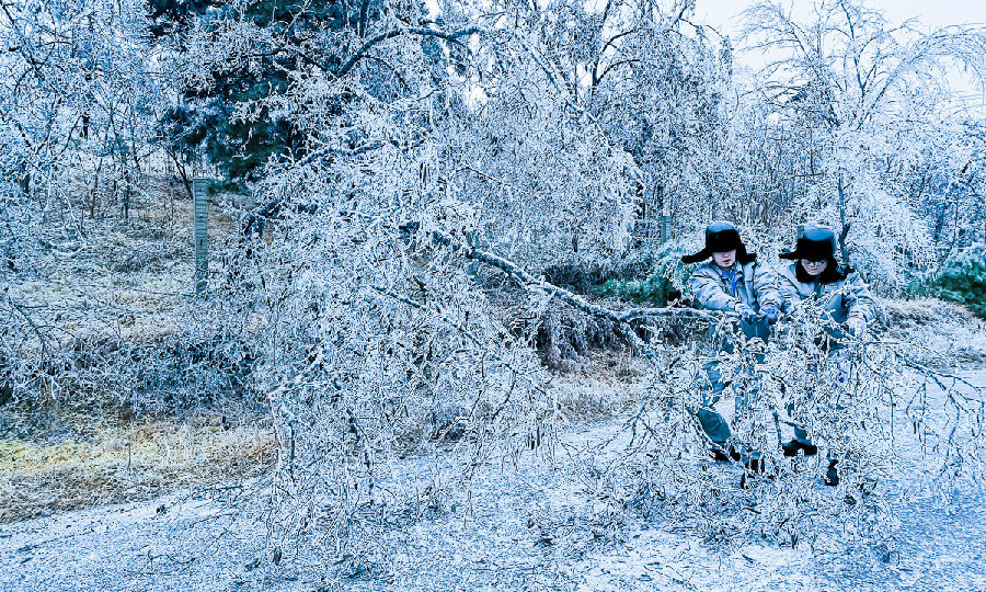 龍源遼寧望海寺風電場員工在清理巡線道路上的障礙樹枝。（田棟棟 攝）