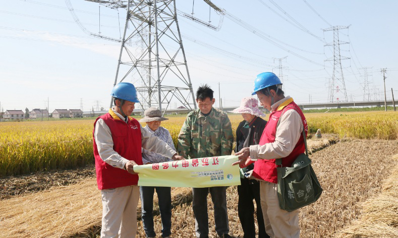在進博會期間，該公司組織保電人員到線路沿線宣傳《電力法》、《電力設施保護條例》等電力法律法規，向農民發送電力法規、電力設施保護及安全用電知識宣傳畫冊，確保進博會期間電網安全運行，圓滿完成供電保障任務。