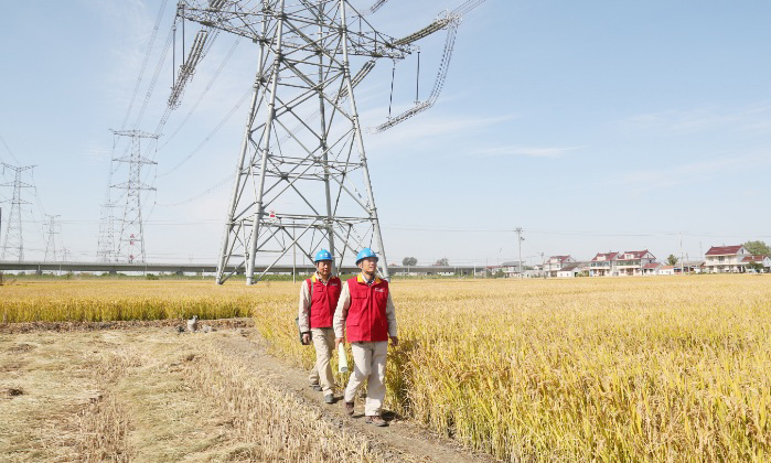 圖為國網東臺市供電公司工作人員巡線，保障中國國際進口博覽會安全供電。