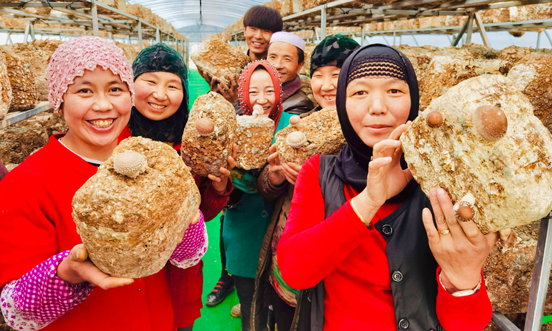 2020年6月，由中國建筑和中建二局在定點扶貧縣——甘肅康樂縣何家溝村打造的菌類農民專業合作社喜結“碩果”。合作社集生產、加工、銷售為一體，屬于村集體經濟，規劃占地11畝。一期工程由中國建筑投資70萬元，建成辦公區、種植大棚等；二期工程由中建二局投資30萬元，續建冷庫、烘干車間、停車場，以及進行菌棒采購等。該合作社也幫助當地群眾再就業。