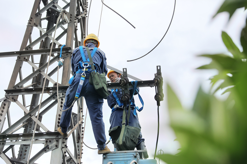 近日，受第7號臺風“海高斯”影響，南方電網廣東電網最高啟動防風防汛II級響應，全力以赴開展電力保障工作，最大限度保障用戶生產生活用電。圖為8月19日，南方電網廣東電網供電人員開展緊急搶修，盡快恢復供電。