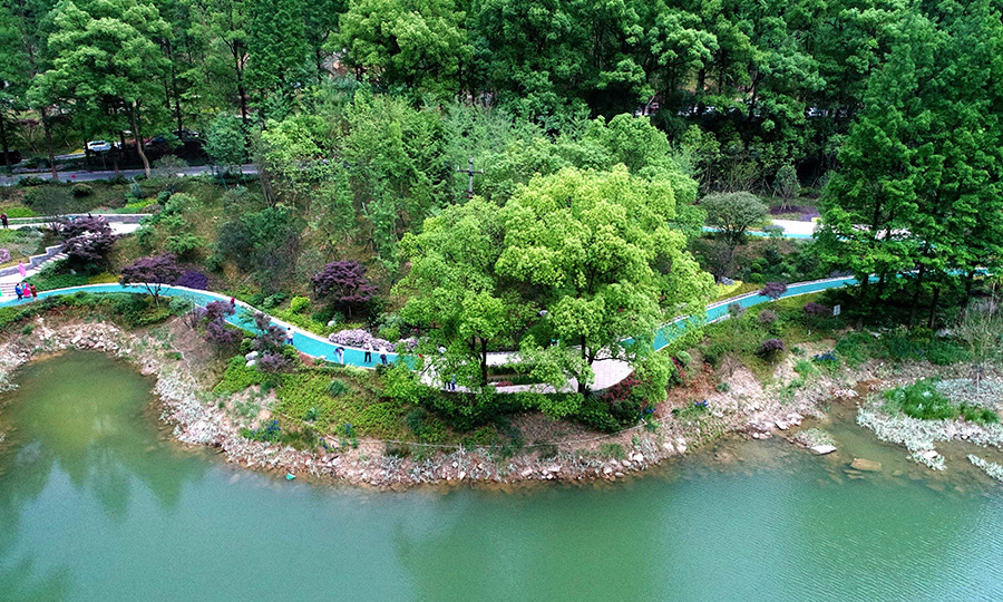 圖為縉云山黛湖生態公園一角。
