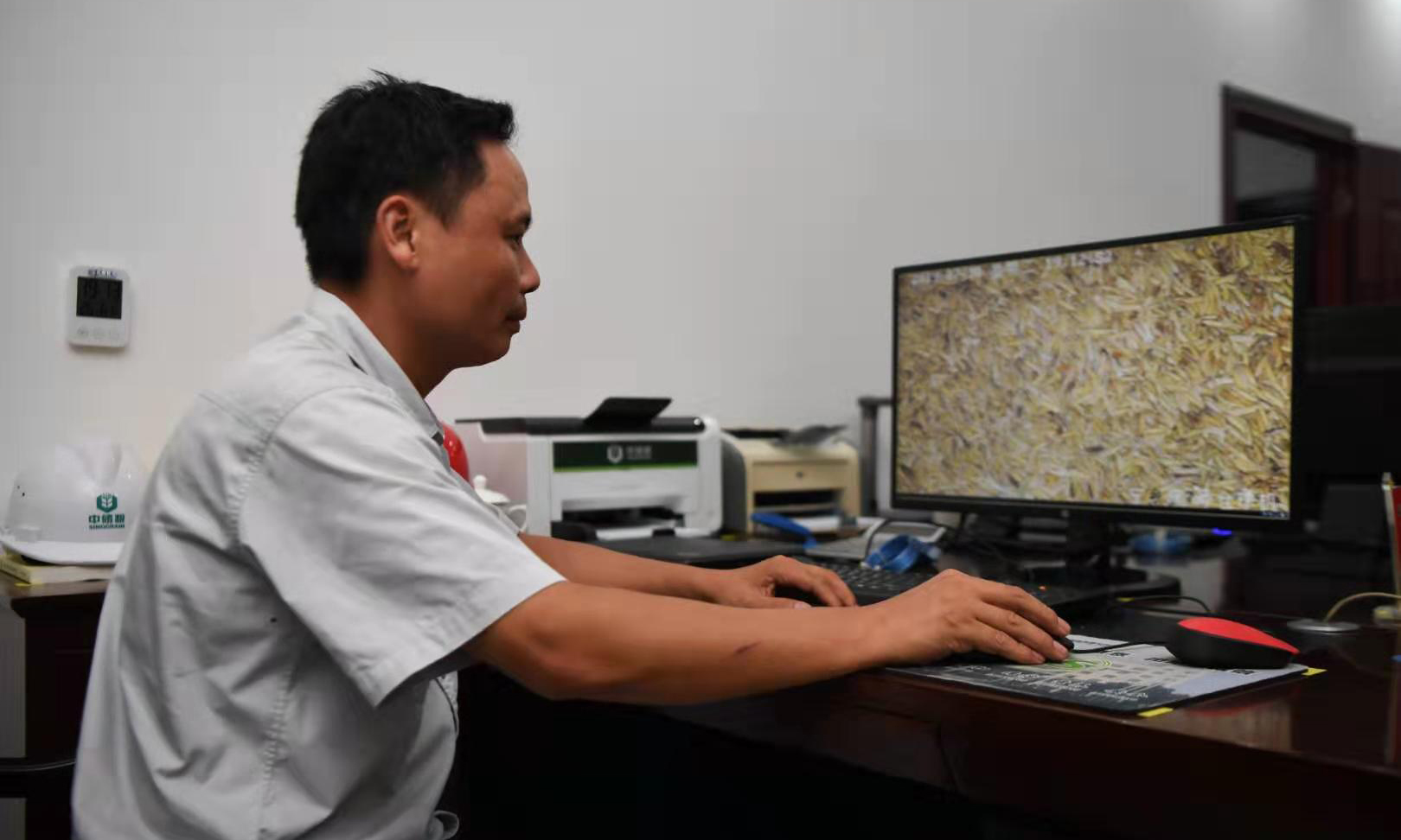 圖為7月30日，中儲糧寧鄉直屬庫工作人員在電腦上監控糧倉內的情況。（新華社記者 薛宇舸 攝）