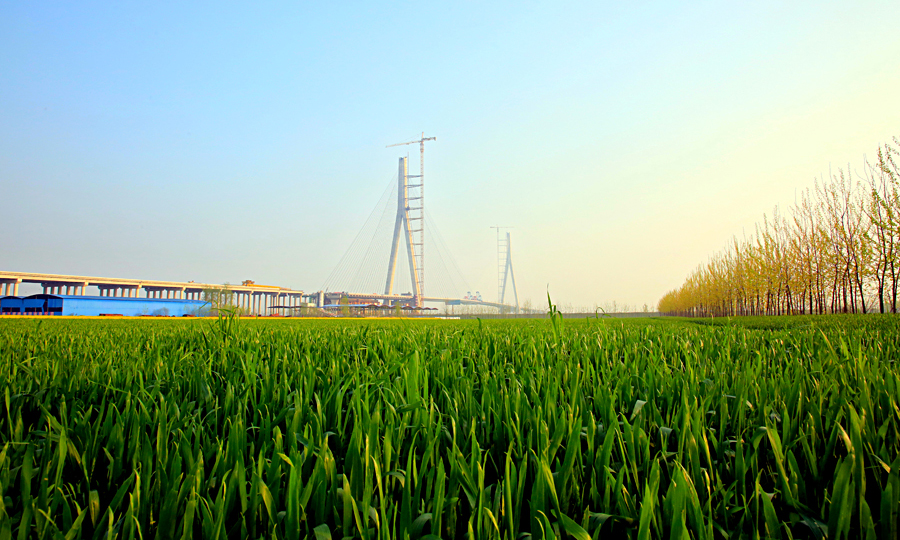 該橋緊鄰世界聞名的長江天鵝洲白鱀豚自然保護區和天鵝洲濕地自然保護區。為此，中國鐵建大橋局制定了專項環保方案，在岸邊設置了應急救援船，并在兩岸建了3個沉淀池處理施工污水。此外，還聯合相關監測機構在兩岸設置了4個聲環境監測點和3個水環境監測點，每月定期監測。圖為石首長江大橋遠景。