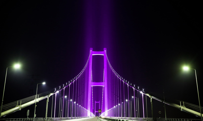 大橋的照明系統由643盞路燈和3194盞景觀燈共同組成，南方電網廣東東莞供電局承擔大橋道路及景觀照明的供電任務。據了解，通車運營期間，道路照明將定時開啟，景觀照明將在節假日或特定時段開啟。圖為虎門二橋項目夜景。