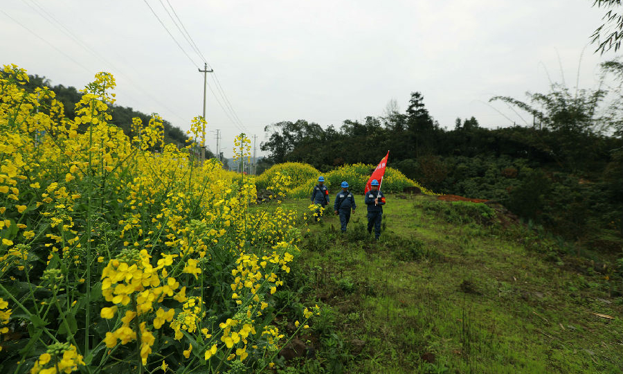 2月24日，南方電網貴州赤水供電局黨員服務隊在赤水市大同鎮田間地頭檢查線路。