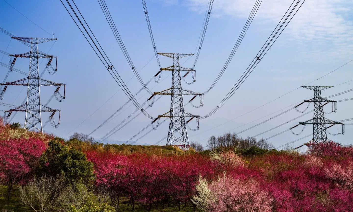 近期，世界最大水利樞紐三峽工程兩岸各色山花開放，春意正濃。中國三峽集團的攝影愛好者紛紛定格這美好的瞬間。（黃正平 攝）