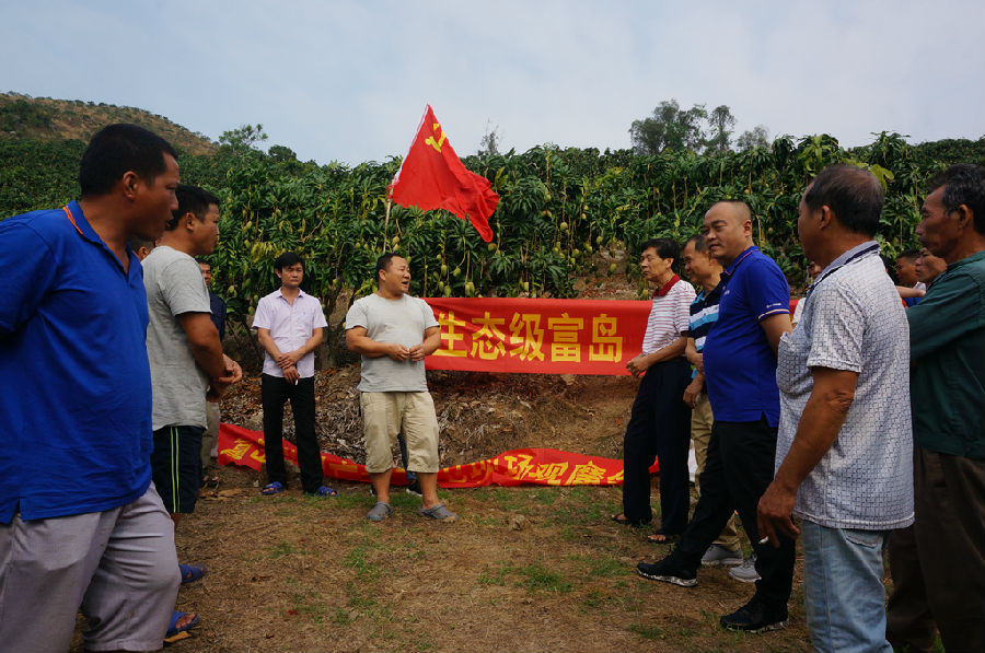 圖為中海化學富島公司黨員示范田獲得豐收。