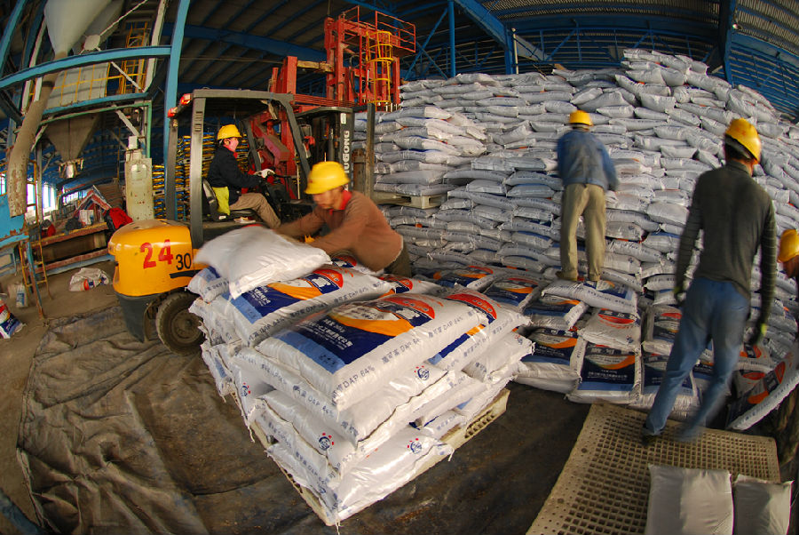 中海化學大峪口公司早在春節期間發運化肥1.61萬噸，克服了鐵路運輸壓力大等困難，每天保證磷復肥2500噸的發運量。此時，黑龍江鶴崗還停留在寒冷中，為了最大限度提高鐵路運力，華鶴公司3條鐵路線路同時裝車發運，單日裝運車皮達到33個，運送尿素1875噸。圖為大峪口公司二期站臺上，裝卸工和叉車工來回穿梭，將化肥碼上托盤，發往全國各地。