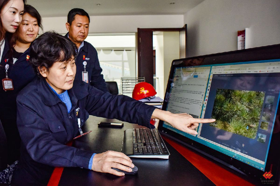 圖為工作人員學習植樹知識。（孫丁 攝）