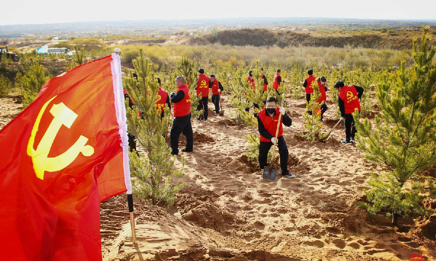 圖為種植現場。（孫丁 攝）