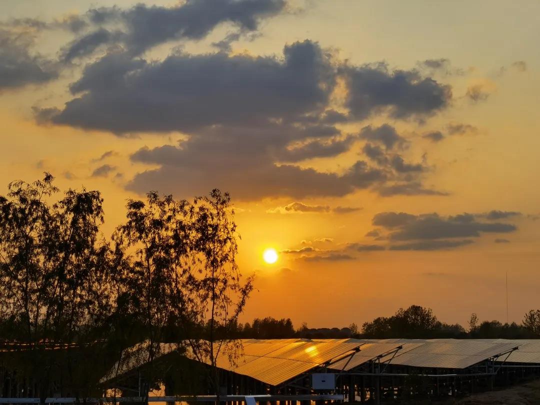 圖為近日，安徽六安，西北建投甘肅公司中廣核霍邱花園60兆瓦光伏電站項目，在落日余暉的照耀下，美若畫卷。