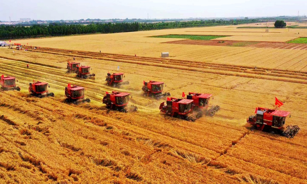 近日，在河北省邯鄲市成安縣，隨著一臺臺國機集團中國一拖集團有限公司生產的東方紅小麥聯合收割機啟動，河北省邯鄲市小麥機收暨全程機械化和綜合農事現場演示活動拉開序幕，這標志著河北省3350萬畝小麥自南向北正式進入收獲期。
