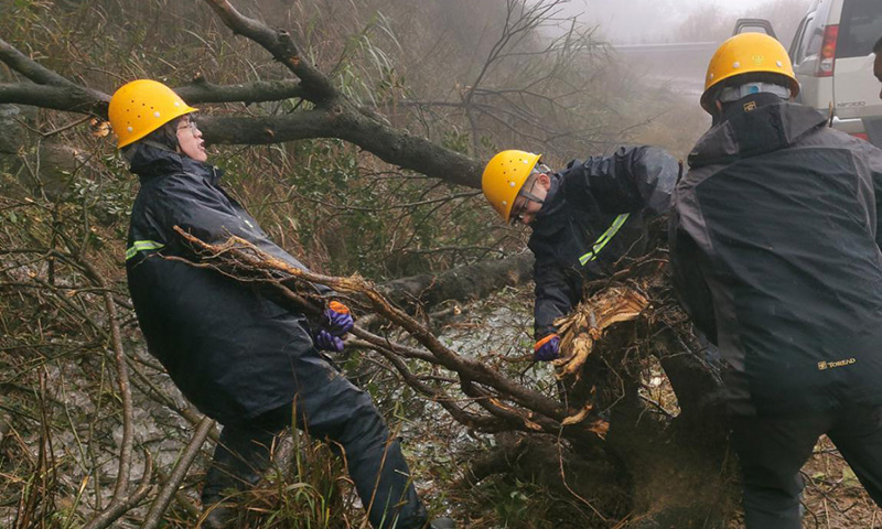 搶險途中，被積冰壓斷的樹木檔住了道路，突擊隊員齊心協力清理路障。