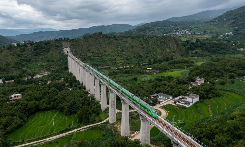 大瑞鐵路全長330公里，橋隧比76.5%，是我國中長期鐵路網規劃中完善路網布局和西部開發重要項目，全線采取大理至保山、保山至瑞麗分段建設模式。大瑞鐵路大保段東起云南大理市，向西經漾濞縣、永平縣，終至保山市，設計時速140公里，線路全長約133公里。大保段鐵路橫穿地質活動斷裂帶，施工異常艱難，大柱山、秀嶺、大坡嶺、杉陽隧道等4座10公里以上的長大隧道更是建設過程中的“攔路虎”，歷時14年大保段施工任務才得以完成。