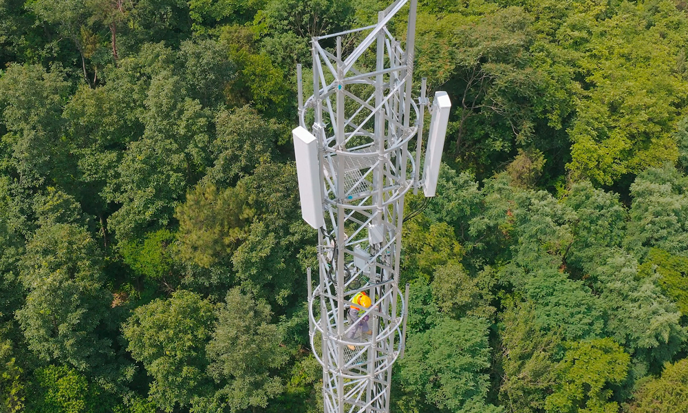在莽莽森林之間，中國電信裝維人員檢修鄭渝高鐵沿途的5G基站設施。