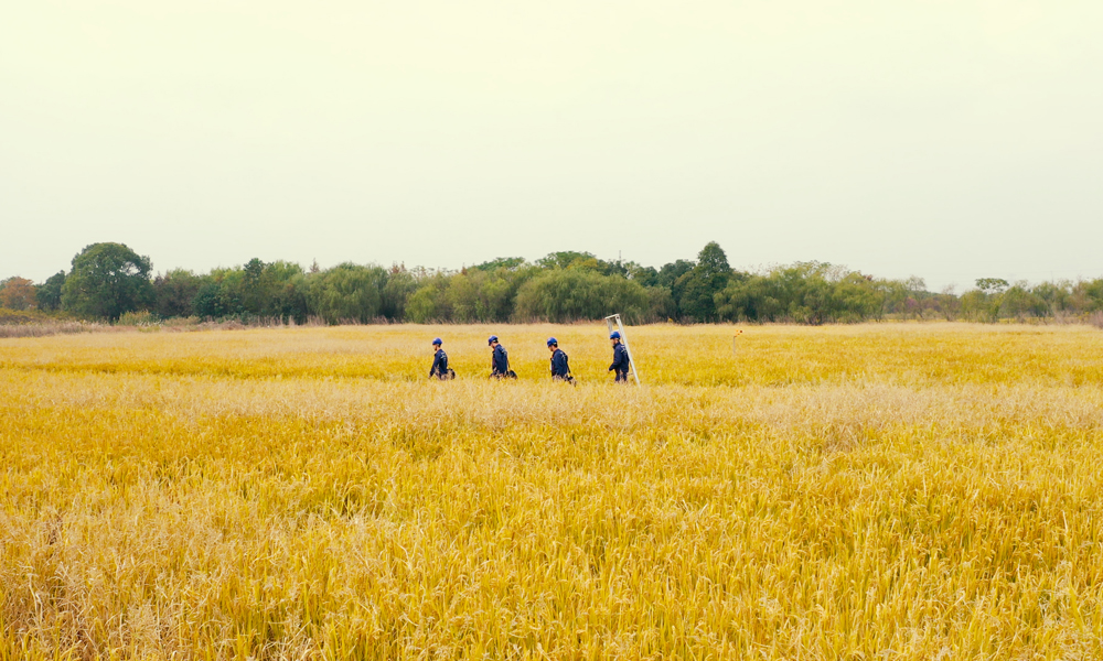 金秋時節，在浙江烏鎮譚家灣“云上農業”樣板間，中國電信工作人員在田野中忙碌，全面助力“5G+智慧新農業”發展。