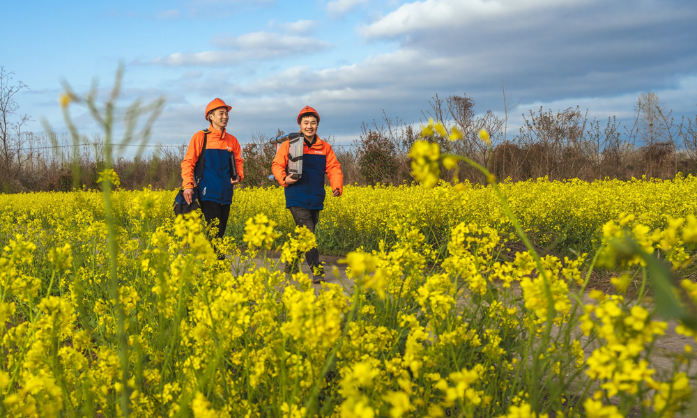 中國電信阜陽分公司網絡工程師行走在鄉村的油菜花海中，為千畝果園的5G覆蓋做準備。