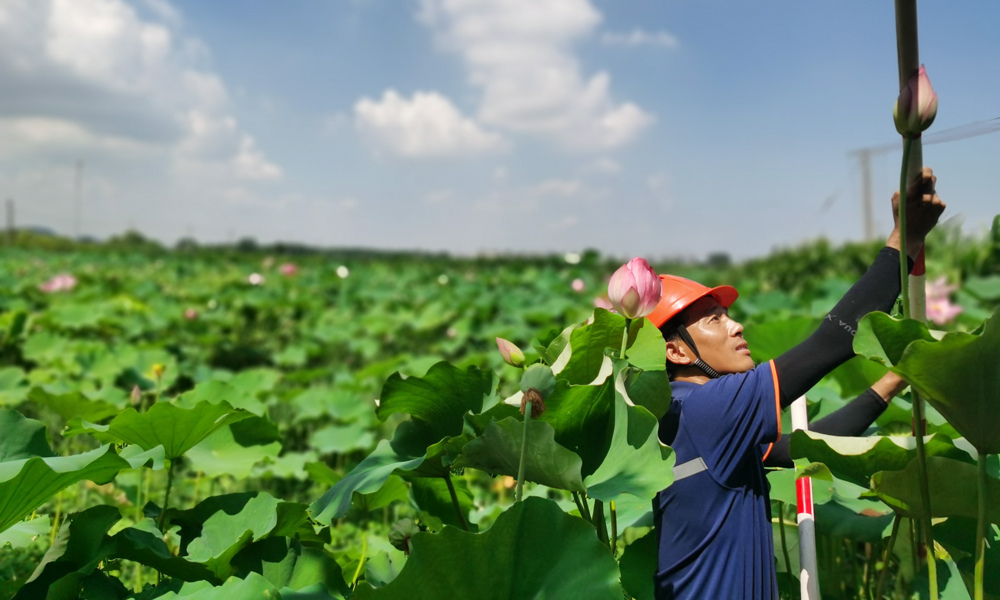 中國電信南京分公司加強電信線路整治、客戶響應服務和光纜線路的安全隱患整治力度。