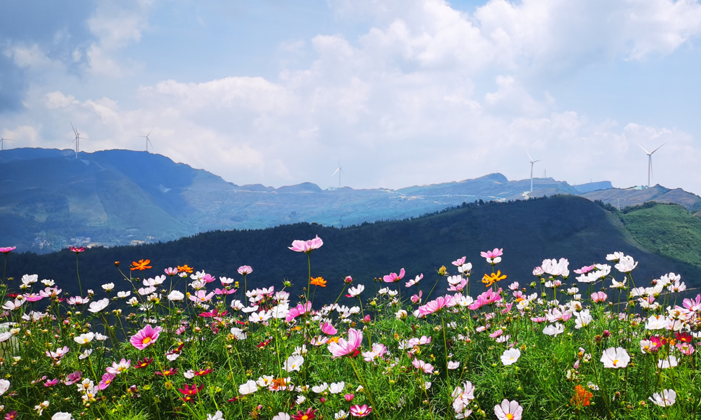 近日，中廣核廣西樂業風電幫扶項目全容量投產，標志著中廣核在樂業地區的風電產業幫扶工程建設任務圓滿完成，為革命老區鄉村振興、能源發展注入新動能。