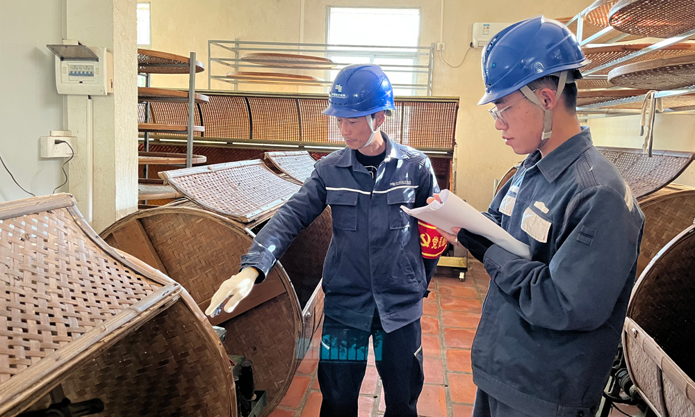 近日，南方電網廣東汕頭潮南供電局的工作人員走進一家茶葉加工廠，對加工車間的用電設備及用電線路進行全面檢查。洪欣穎 黃昔韜 攝