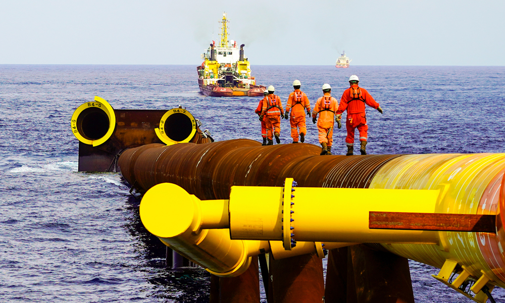 陸豐12-3深水導管架總高度達265米，相當于90層居民樓高度，是目前亞洲第三高的深水導管架，僅次于目前在建的流花11-1平臺深水導管架和“海基一號”平臺深水導管架。下水作業地點距離深圳東南260多公里，水深約240米，是我國對外合作油田開發項目首次在中深水海域安裝固定式導管架。