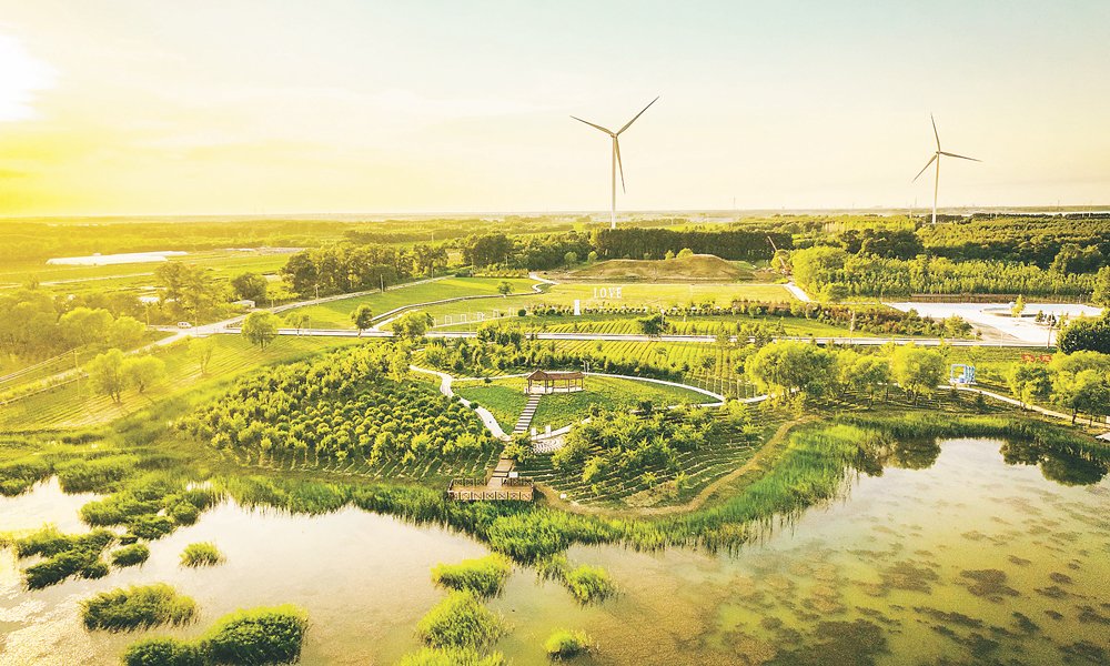 自2020年中國石油首個碳中和林在大慶油田馬鞍山碳中和生態觀光園落戶至今，大慶油田已建設碳中和林2318畝，為促進油田綠色發展邁出了堅實的一步。