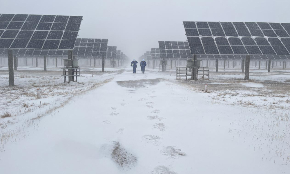 中國節能所屬太陽能新疆區白城領跑者電站運維人員冒雪巡檢線路。