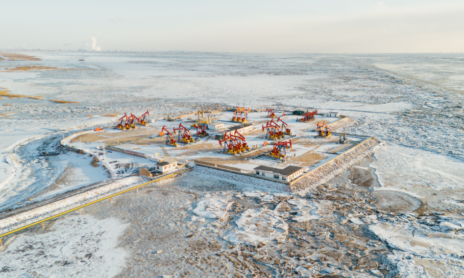 抽油機在遼河油田生產現場作業。