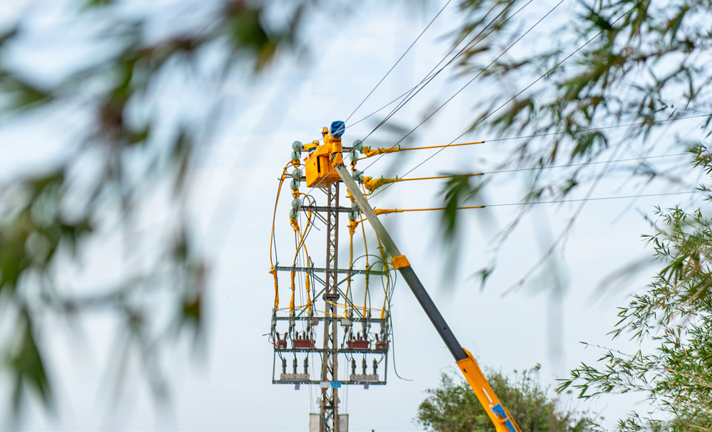 春耕期間，南方電網廣東電網主動當好農民的“電管家”，供電人員深入田間地頭，利用“人巡+機巡”的方式對供電線路、設備進行全面“體檢”，全力服務農民用電需求，確保春耕生產“電力十足”。圖為南方電網廣東珠海斗門供電局對農村線路開展絕緣導線、避雷器、絕緣子等更換工作。