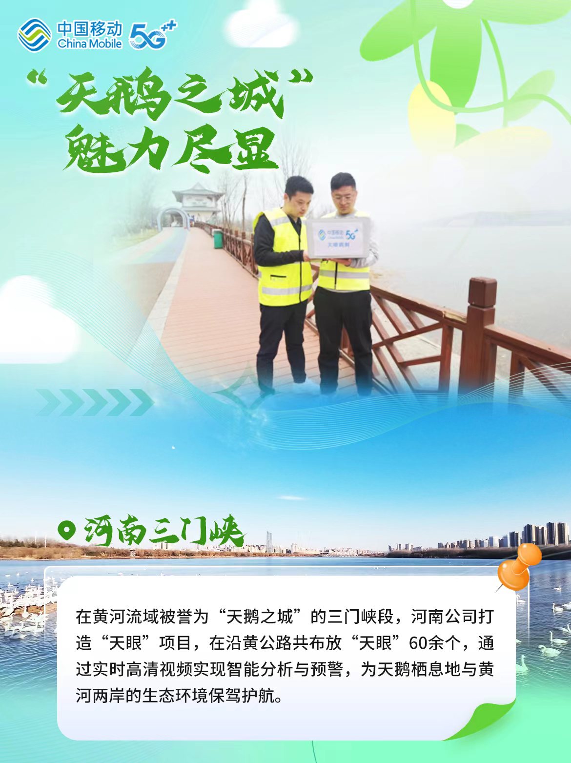 12河南.jpg 12河南.jpg