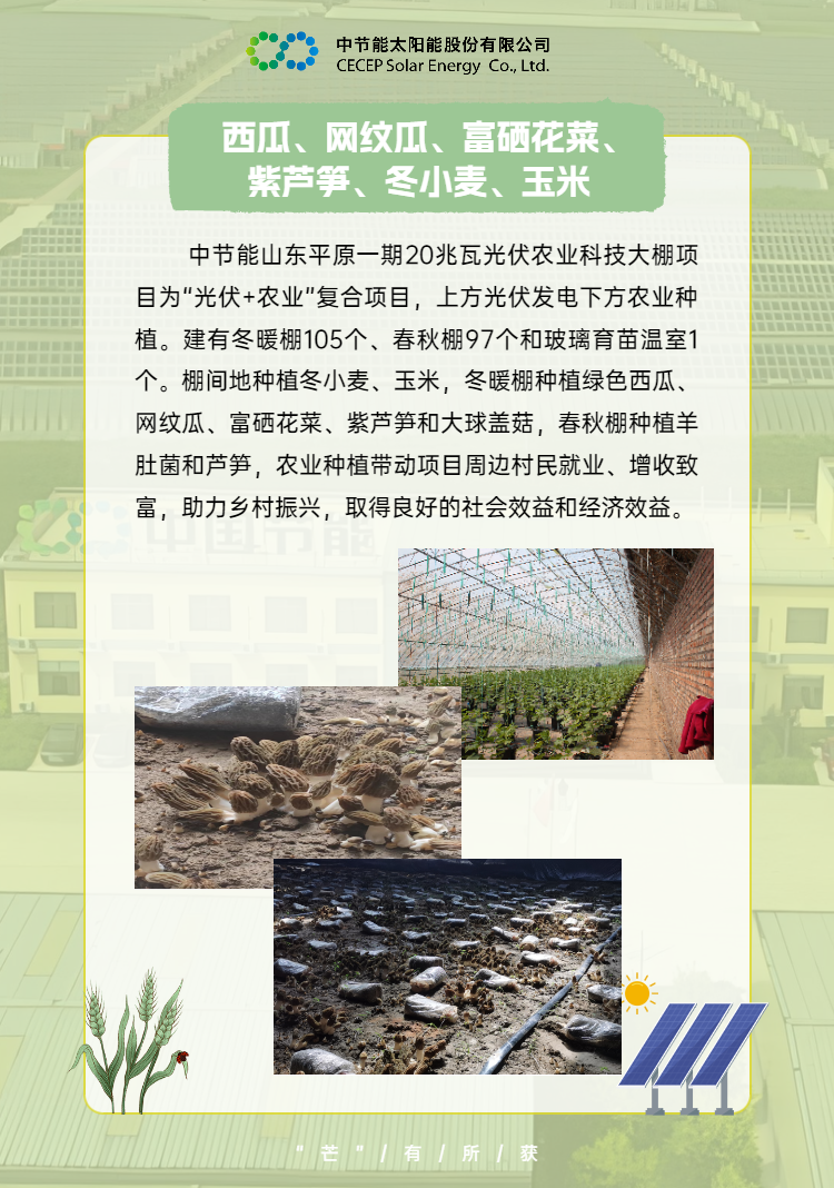 中國節能助力鄉村振興 (4).png