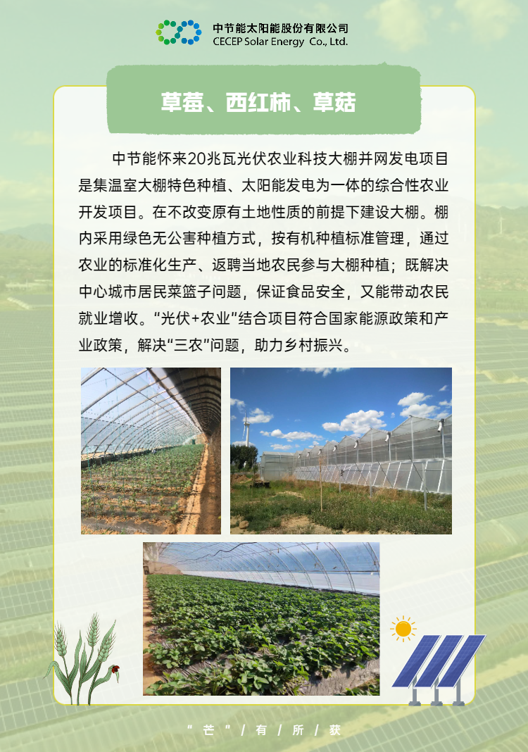 中國節能助力鄉村振興 (6).png