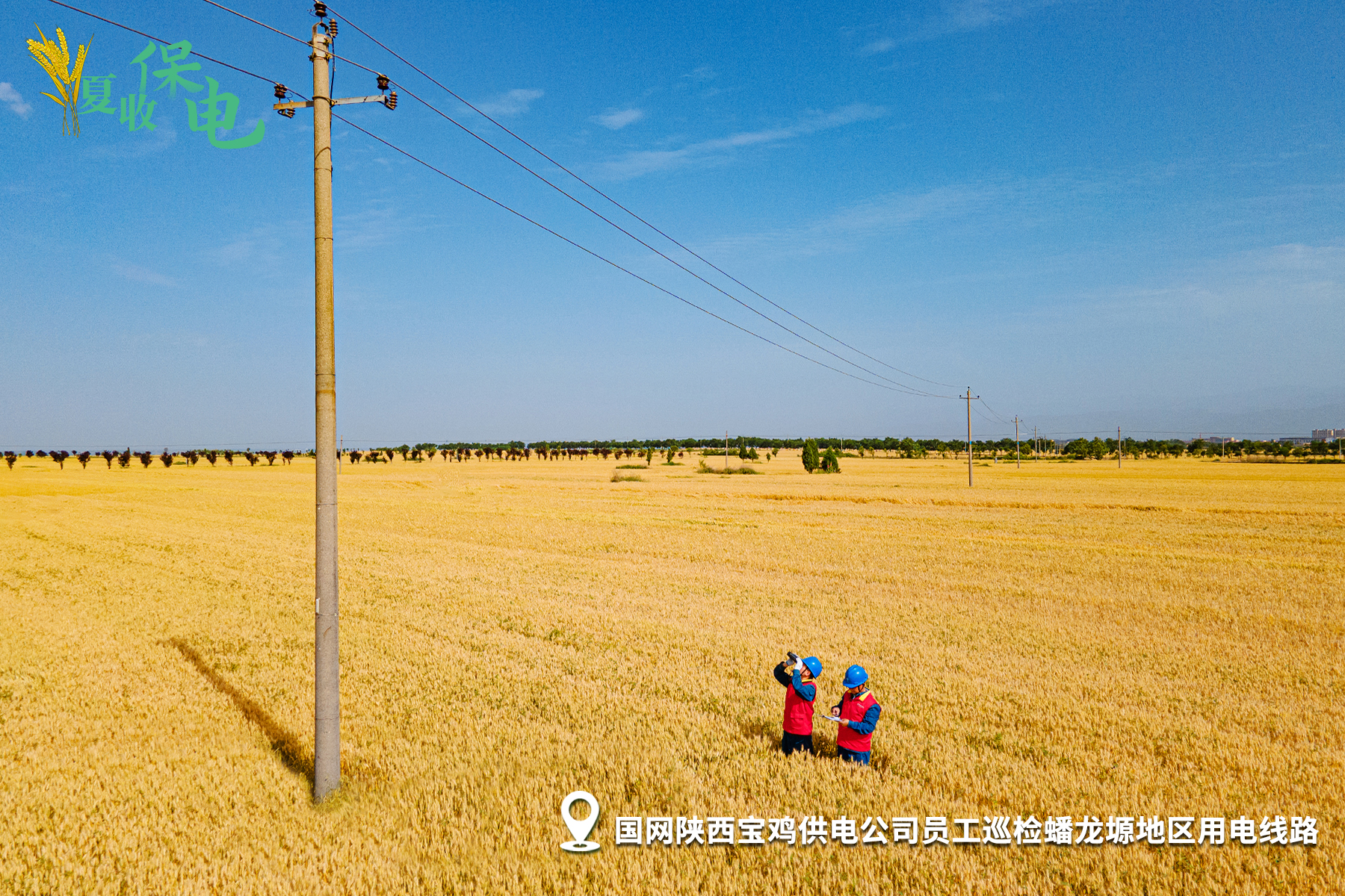 夏收保電2.jpg