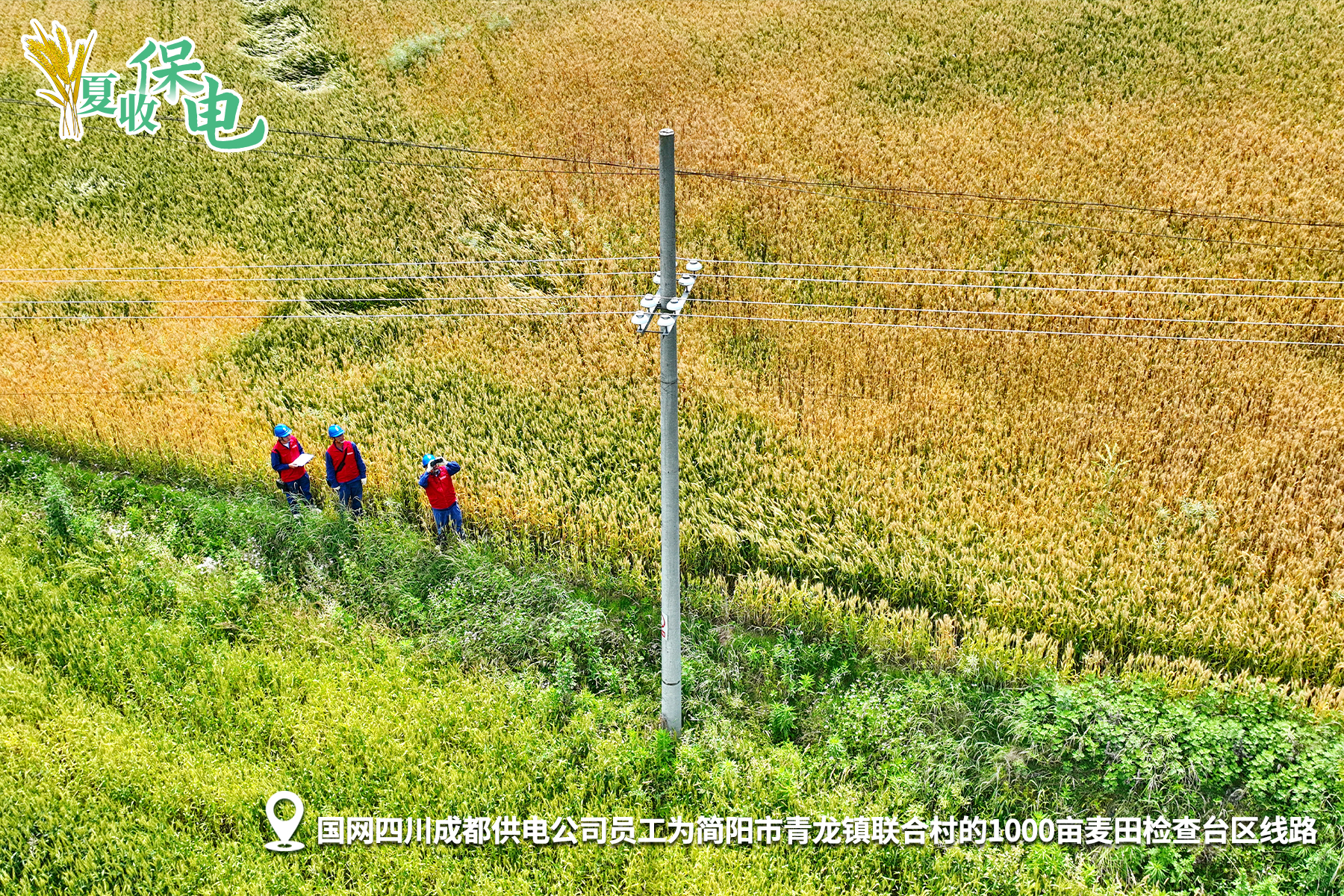 夏收保電3.jpg