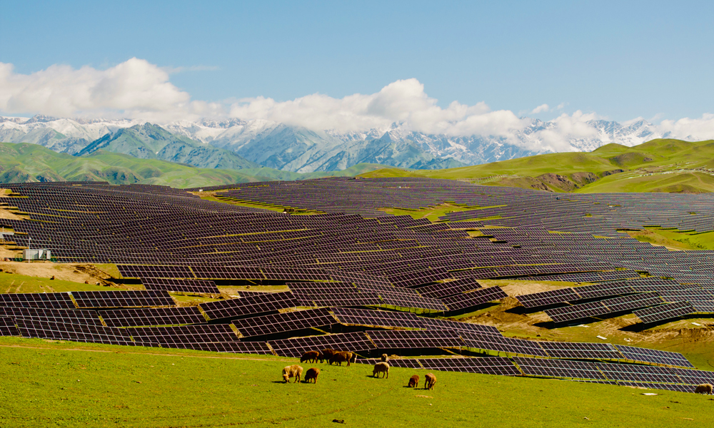該項目建立了“牧光互補”發展模式。“牧光互補”模式推進了光伏新能源產業綠色低碳發展，加快了生態畜牧業轉型升級，向草原生態良性循環和現代化、綠色、可持續發展轉變，實現了高效養殖與光伏生態修復“雙贏”目標。