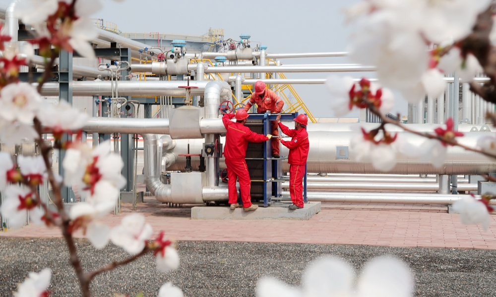 在冀東油田油氣集輸公司高尚堡聯合站，員工們自己種植的桃花開了。大家在桃花映襯下維護保養原油換熱器設備，確保春季安全生產。