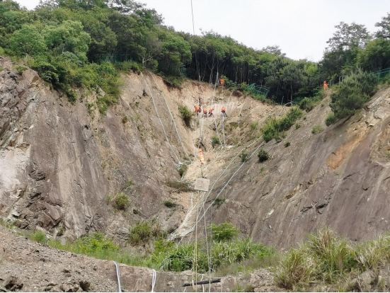 深耕“生態綠” 奮戰“開門紅”0320(1)(1)788.png