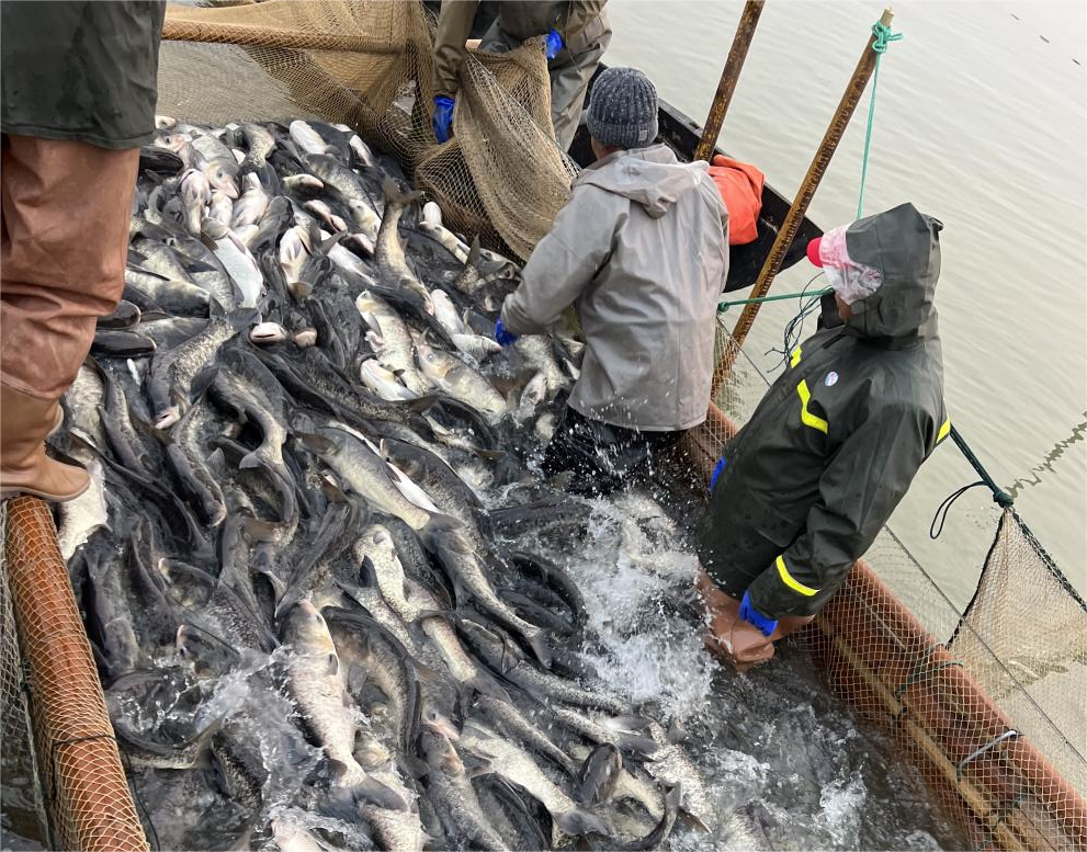 圖片4.png 圖片4.png