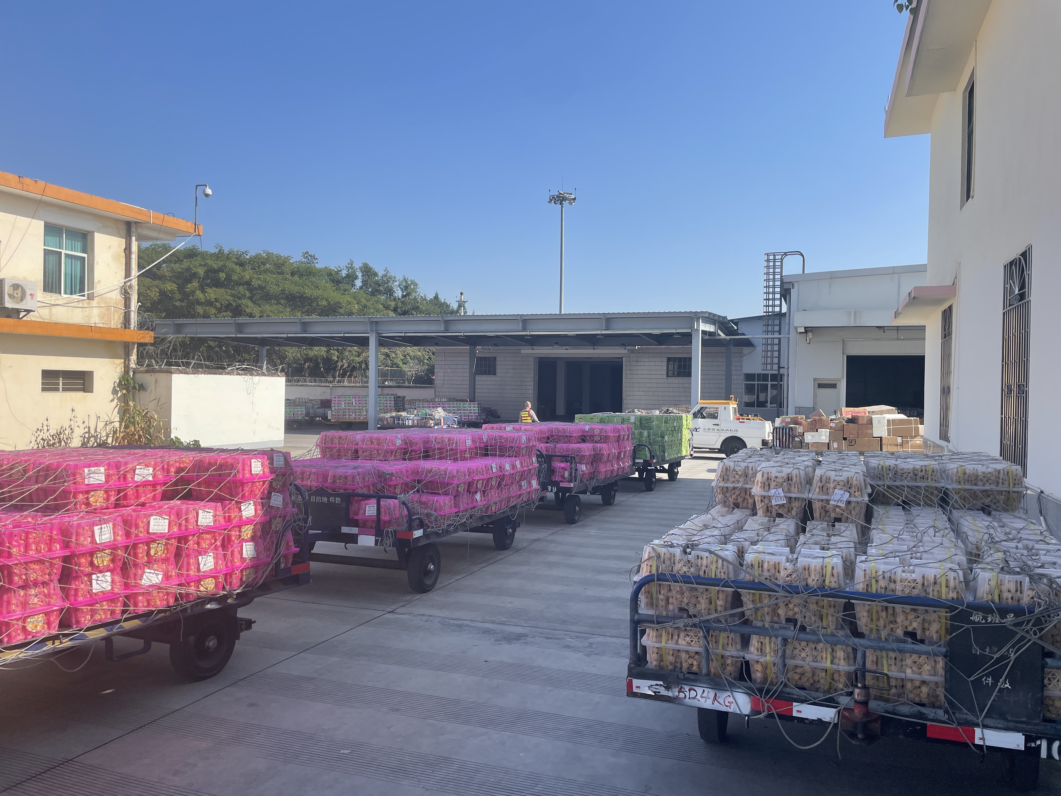 版納機場日貨郵吞吐量創歷史新高.jpg 版納機場日貨郵吞吐量創歷史新高.jpg