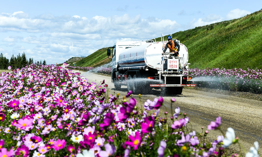 在秀美豐饒的草原上開礦，保護草原生態環境是頭等大事。神寶能源主動承擔央企責任，累計投資4.34億元加大生態環境建設力度，復墾綠化面積達到了可綠化面積的100%，走出一條經濟發展和生態文明建設相得益彰的新發展之路。圖為工作人員細心呵護礦區綠植。